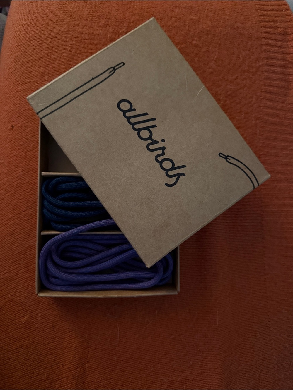 NIB ALLBIRDS laces